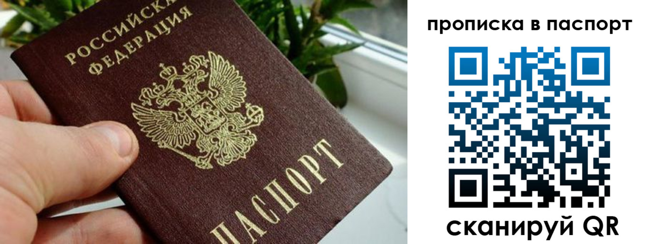 пропишу в квартире в Долгопрудном